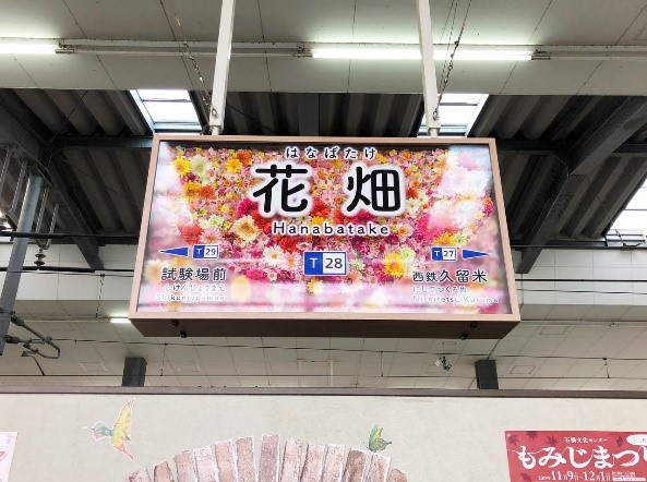 花畑